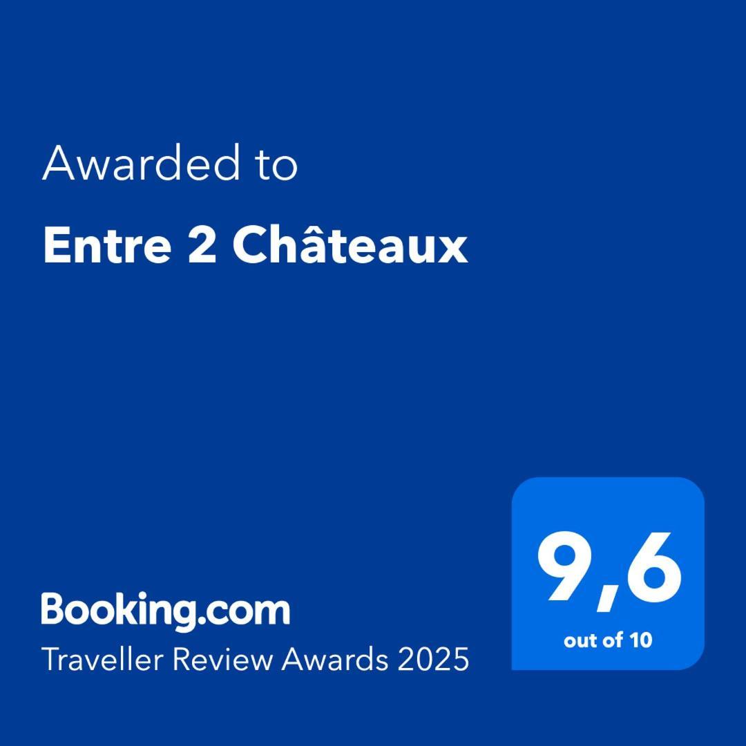 Entre 2 Chateaux Onzain Bagian luar foto
